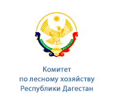 Комитет по лесному хозяйству Республики Дагестан.